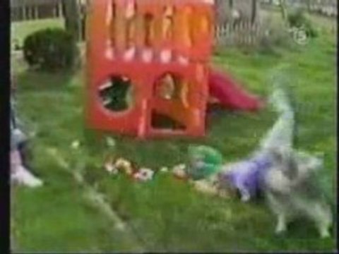 Nos amis les chiens, best of