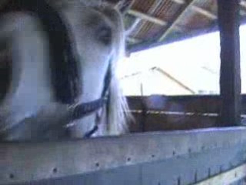 Montage Jock 3