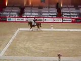 dressage a equitalyon
