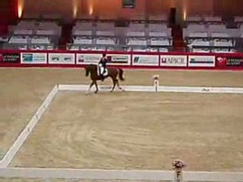 dressage a equitalyon