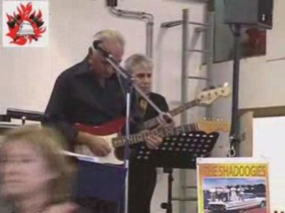 SLEEPWALK - THE SHADOOGIES -(THE SHADOWS)