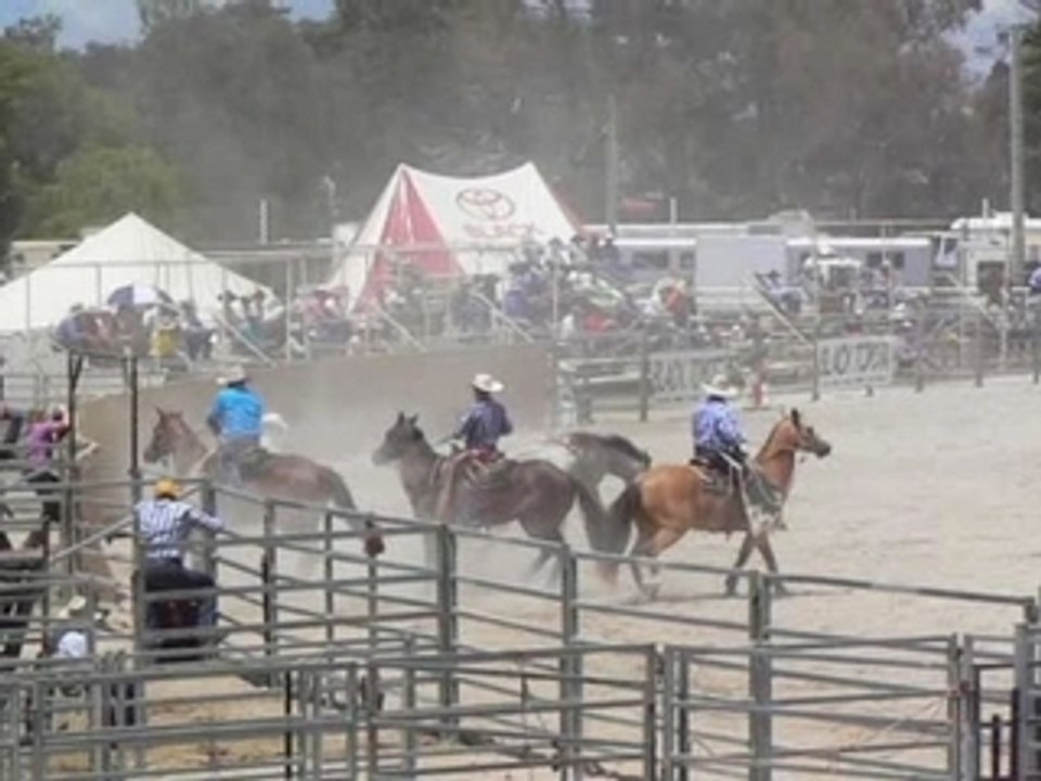 Warwick Rodeo - Le Film