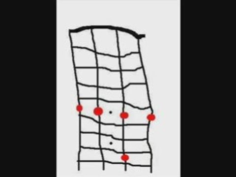 Dionysos - la métamorphose de Mr Chat - Accords Ukulele