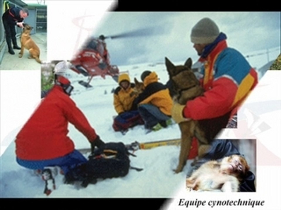 Equipe Cynotechnique