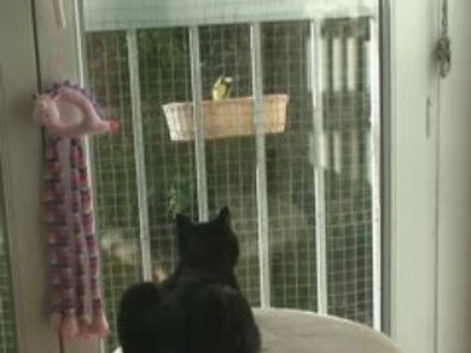 Nina devant la télé