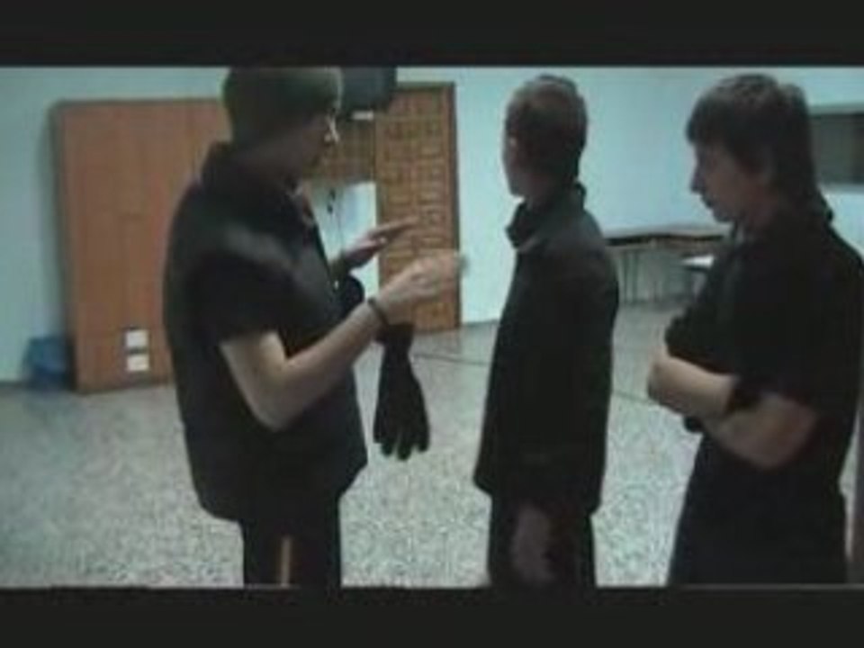 El Cuadro secreto de La Fauna de Picasso