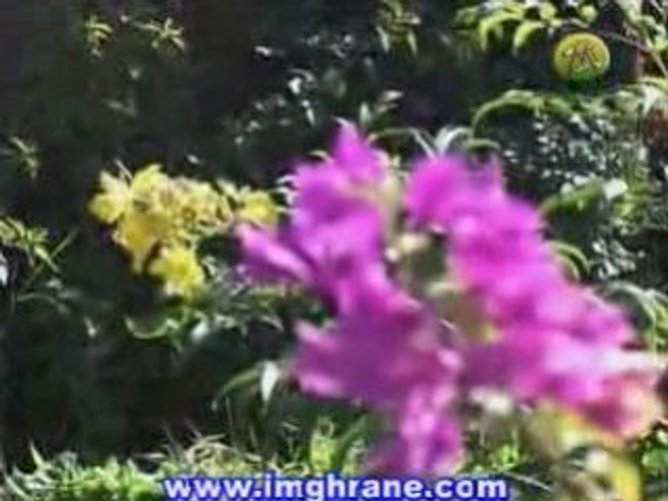 Imghrane-en-europe-04