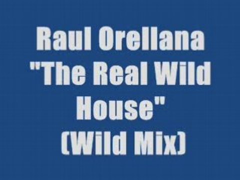 Raul Orellana - The Real Wild House (maxi version)