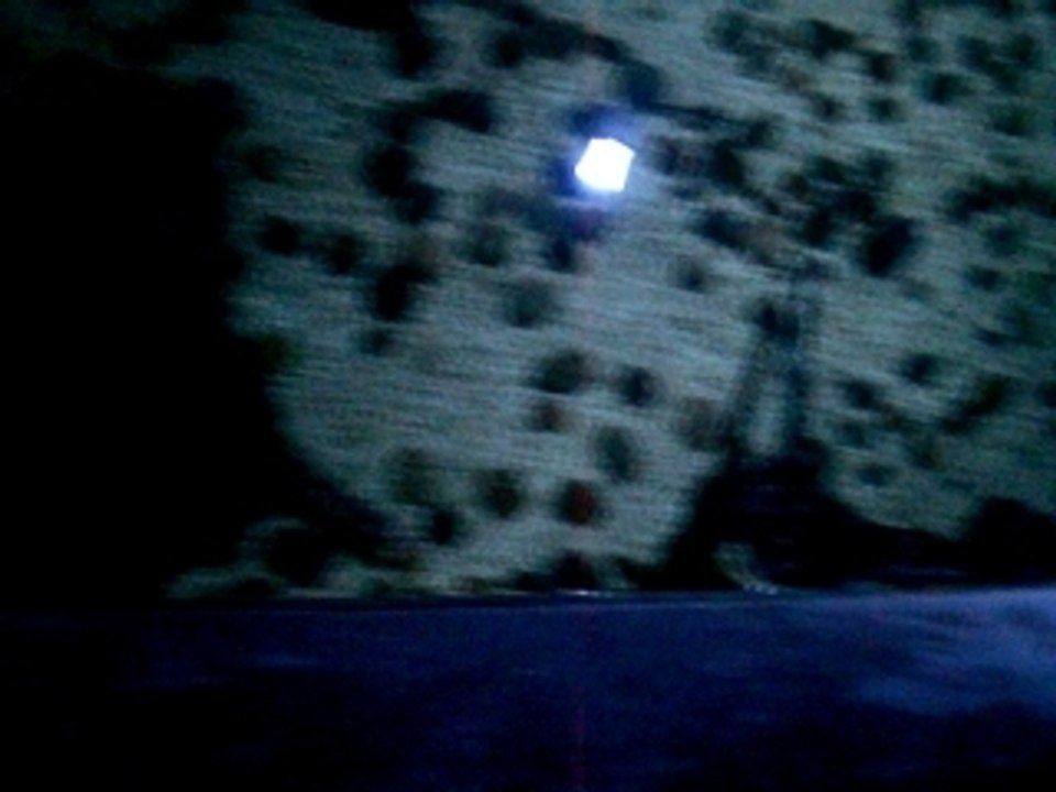 Sea Life Blankenberghe raie + gros poissons 1