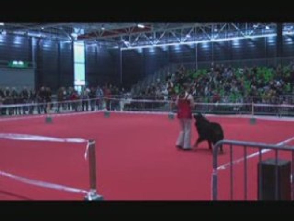 Perrine et atos FIM08