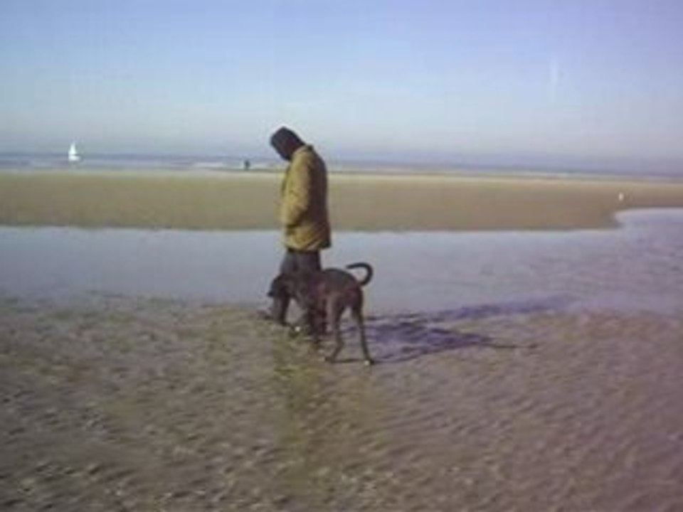 Dalhi a la mer