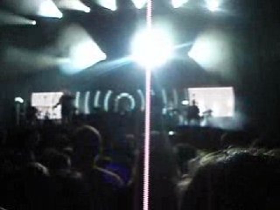 Paléo 2008 Massive Attack (on est beaux !!!)