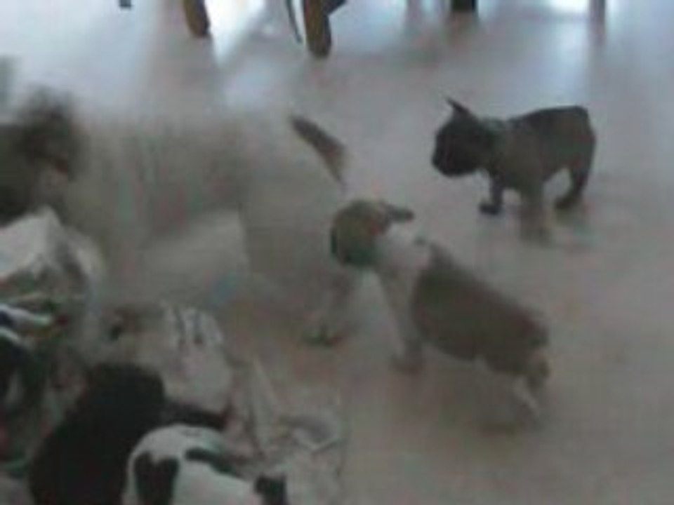 Vidéo baby's 5 semaines