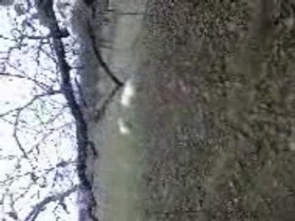 Balade avec Julie et Romane sur les shets.