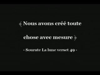 Les PrincipesFondamentaux(Partie2)