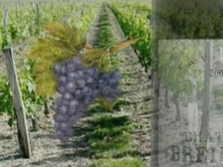 ECHANGE FRANCO-ALLEMAND A BLANQUEFORT