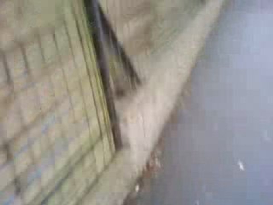 Retour maison4. =D
