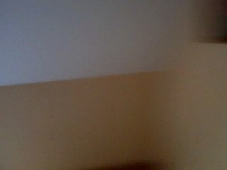 Halloween 2008 video2