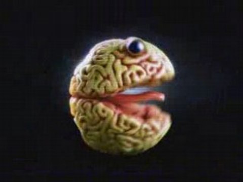 Gazeta Wyborcza - Junk Food 20