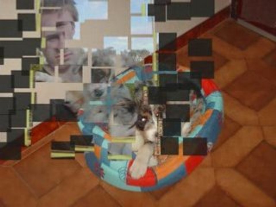 Cooper aramis djazzi video