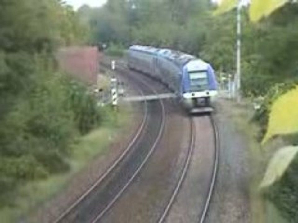 TER