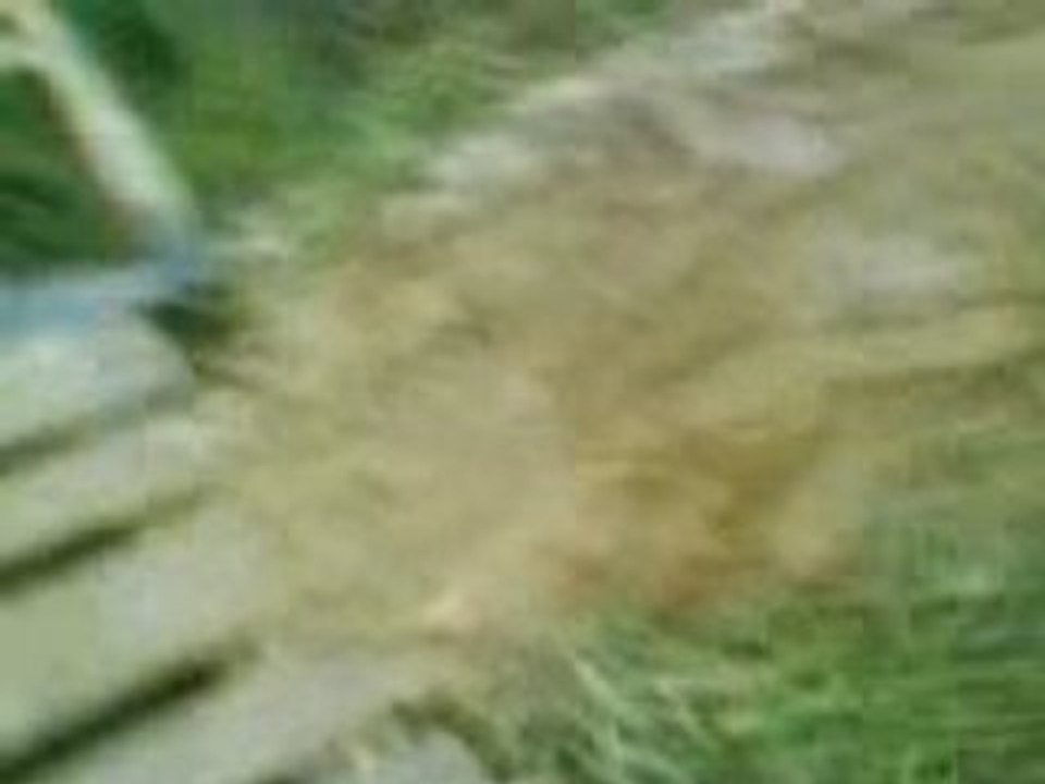 MOV00158