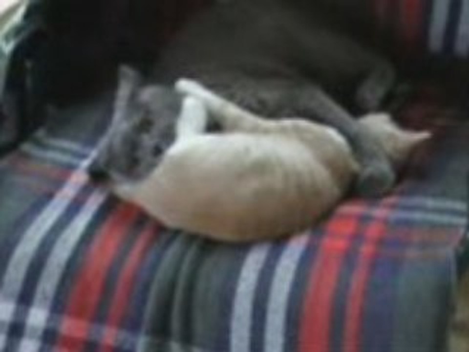 Moment de tendresse!octobre!