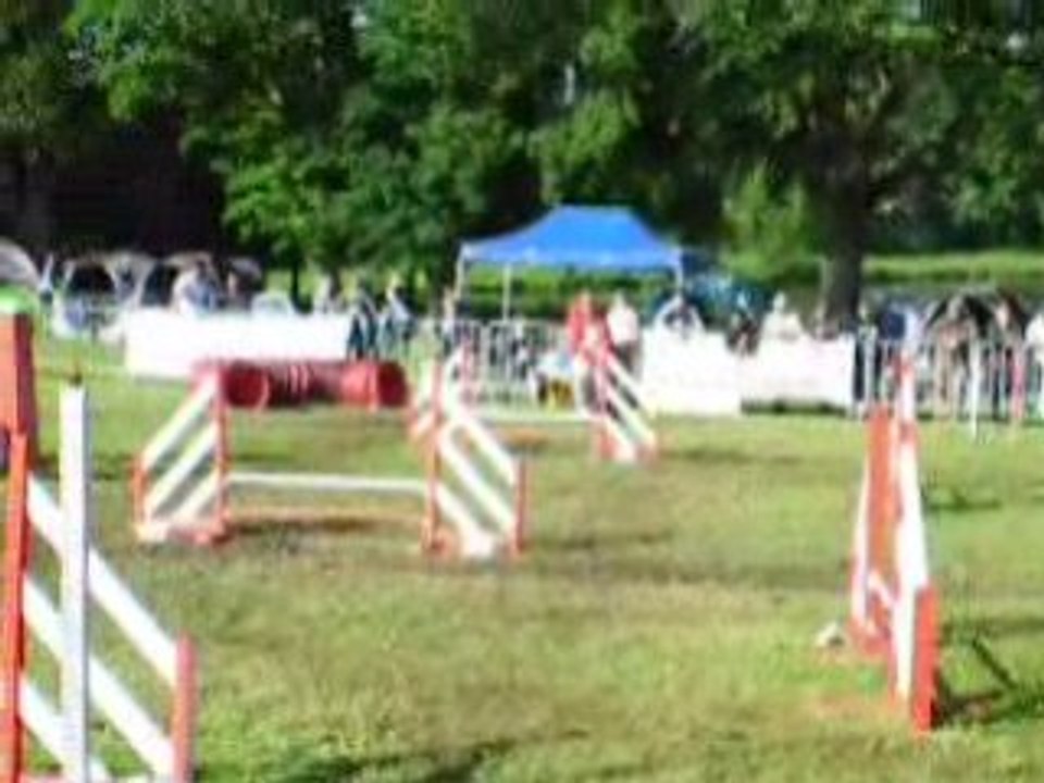 DSCN0277Bip Bip Agility