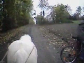 Bianca longues renes