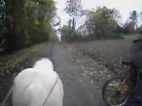 Bianca longues renes