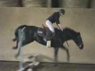 1er saut à cheval 7