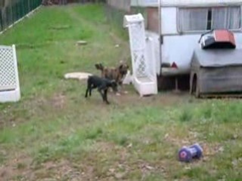 Taikai et Baya ( video) 00009