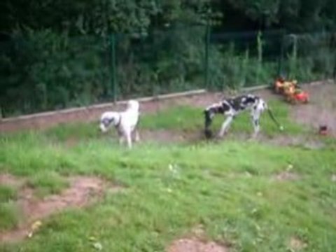 Capturées 2008-7-3 00000