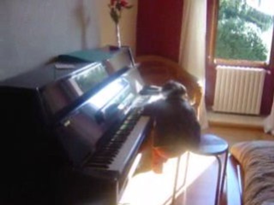 MOV04672