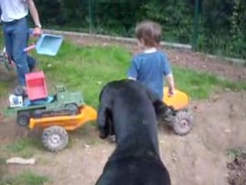 Nettoyage de la voiture 00026