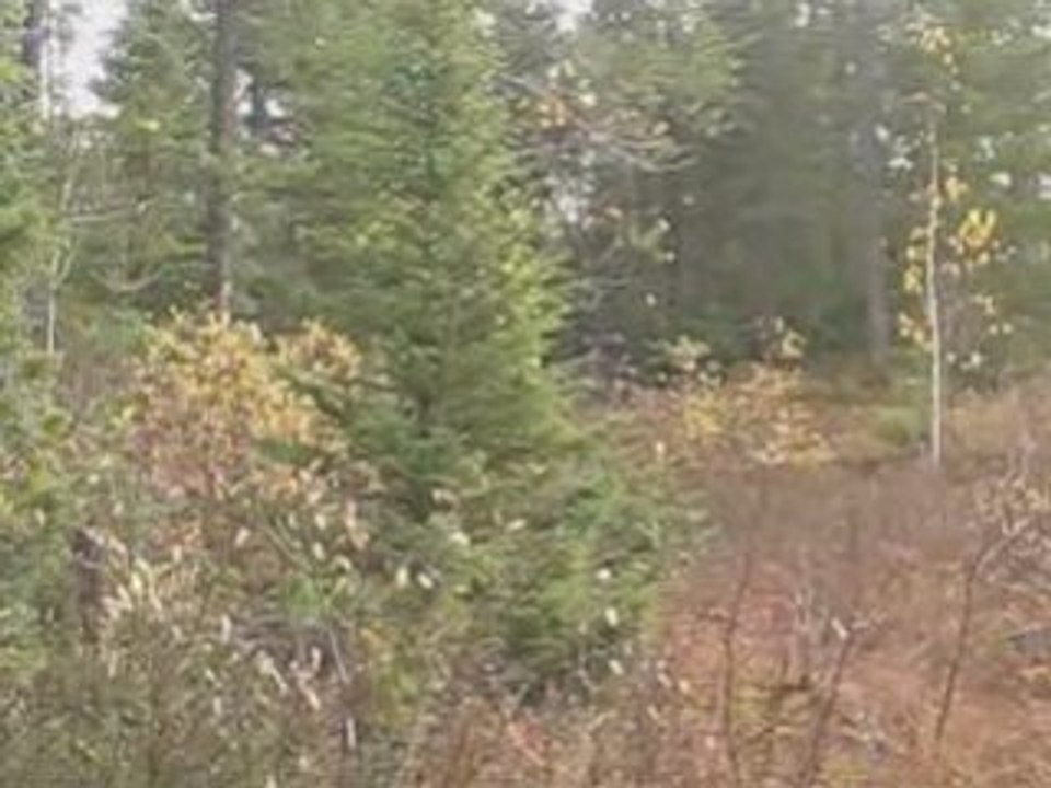 RedFaction - Némésis Rising