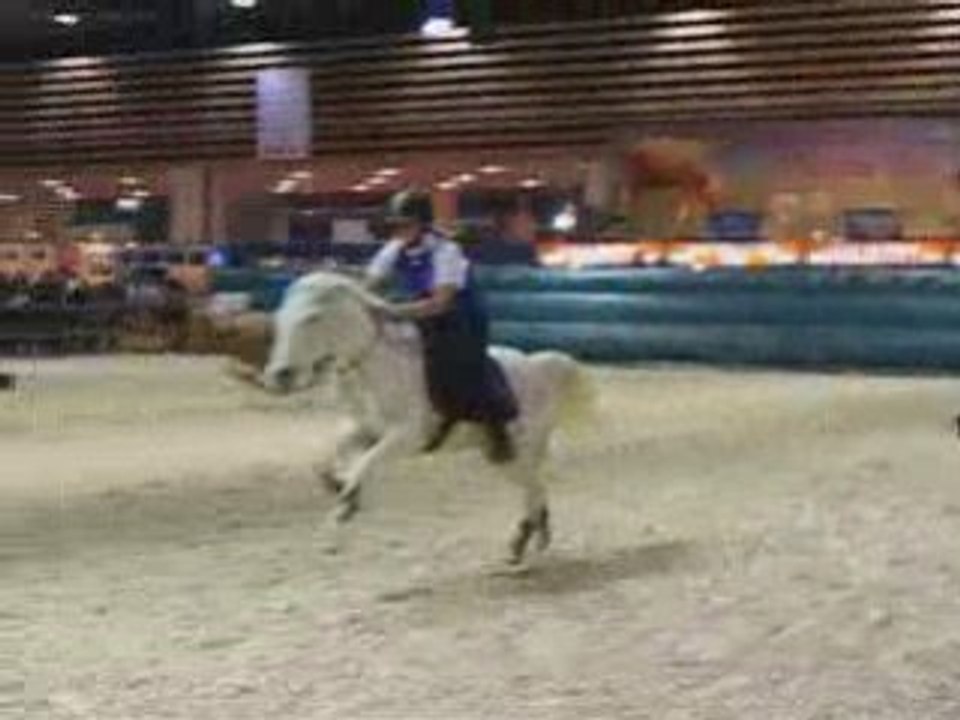 Pony Games ?