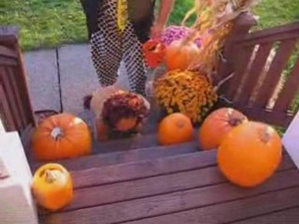 Premier halloween1