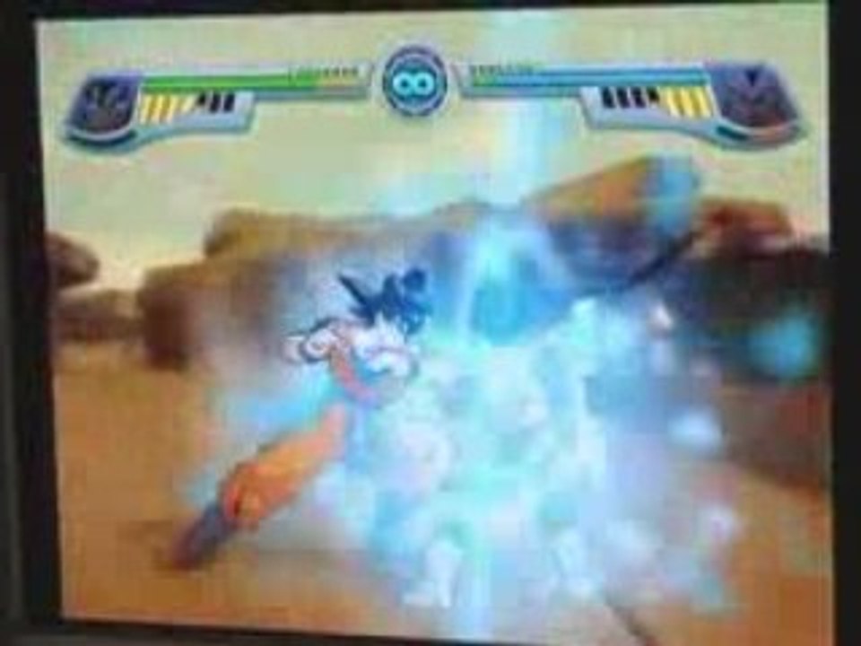 Dragon Ball Z : Infinite World