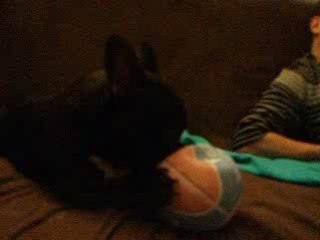 rose et son ballon de basket