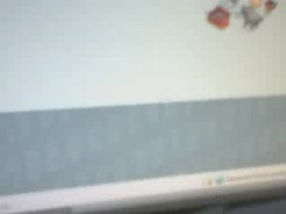 Webcam 1225958522043