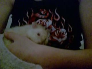 Vidéo d'Orphée après le bain