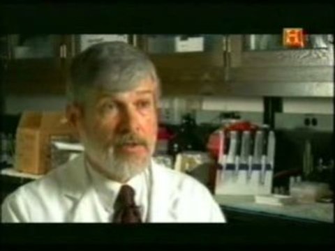 Resistencia bacteriana a antibioticos