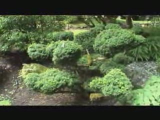 BUTCHART  GARDEN- VANCOUVER-CANADA