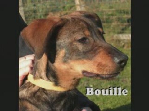 Semaine 44 2008 au refuge de Beauregard