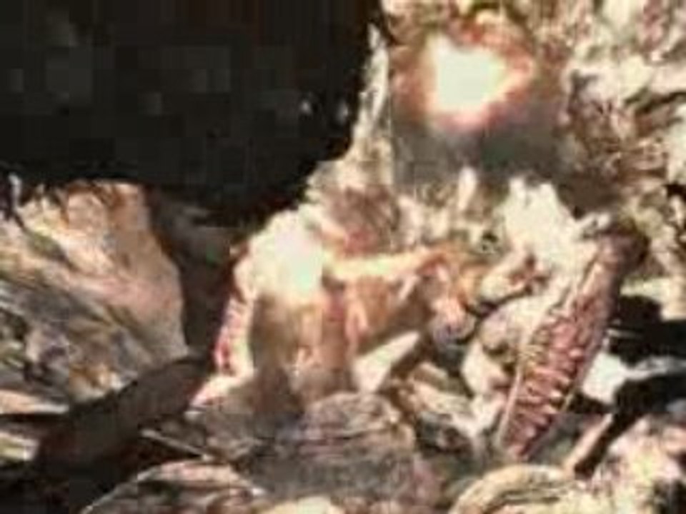 Gears of War 2 Opening Cinematic HD