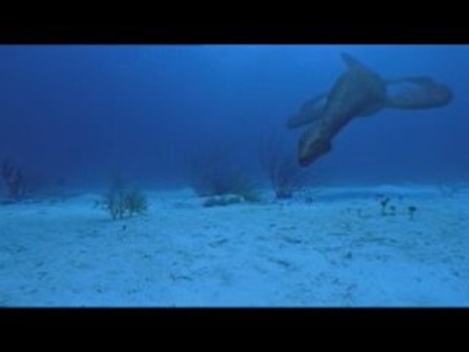 PALEONTOLOGUE : Cryptoclydus