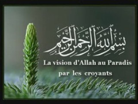 La vision d'Allah au Paradis par les croyants