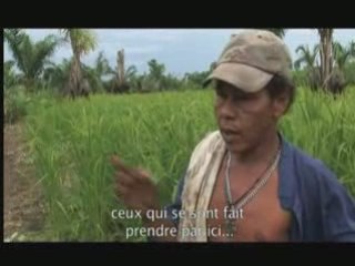 Charniers sous les palmiers ok