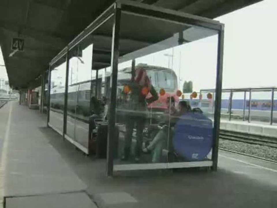 echarpekiller